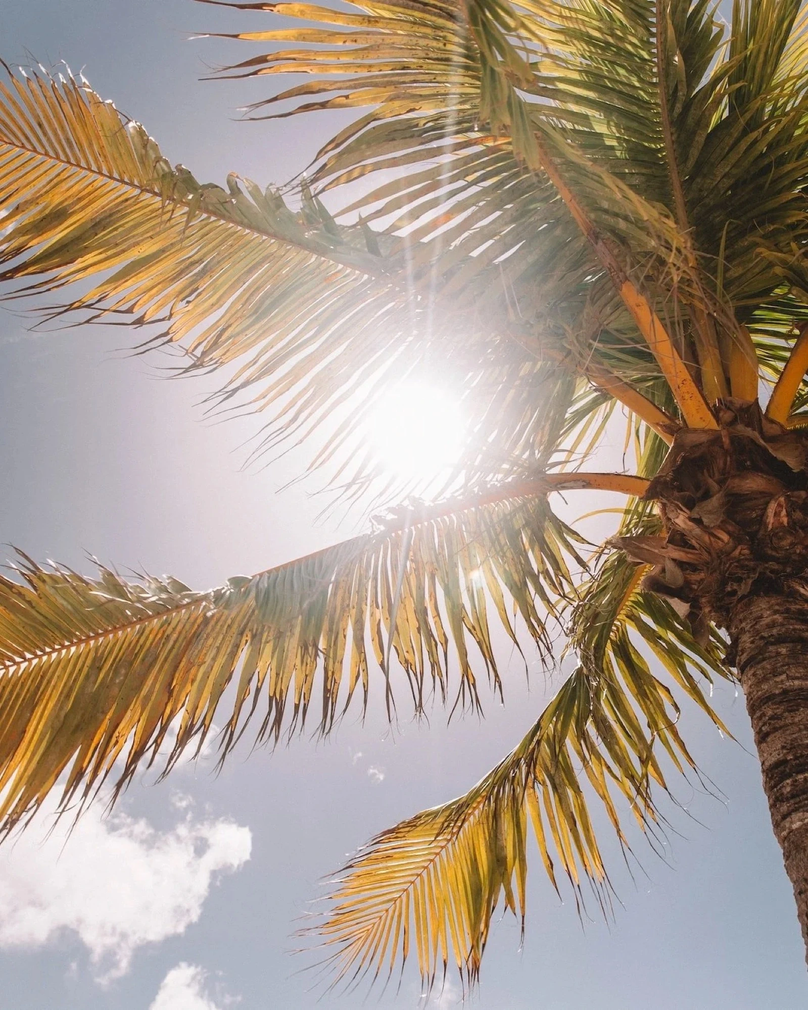 Vitamin D supplements