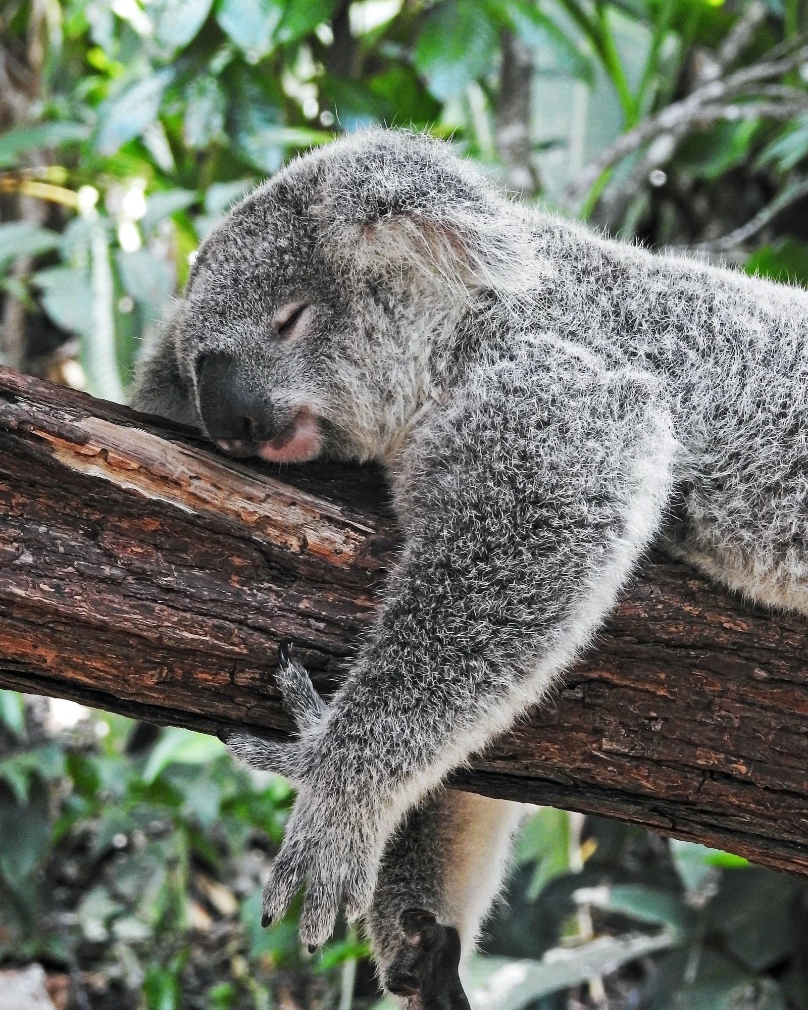 Restful sleep for muscle recovery